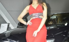 外交部泰刚叛徒